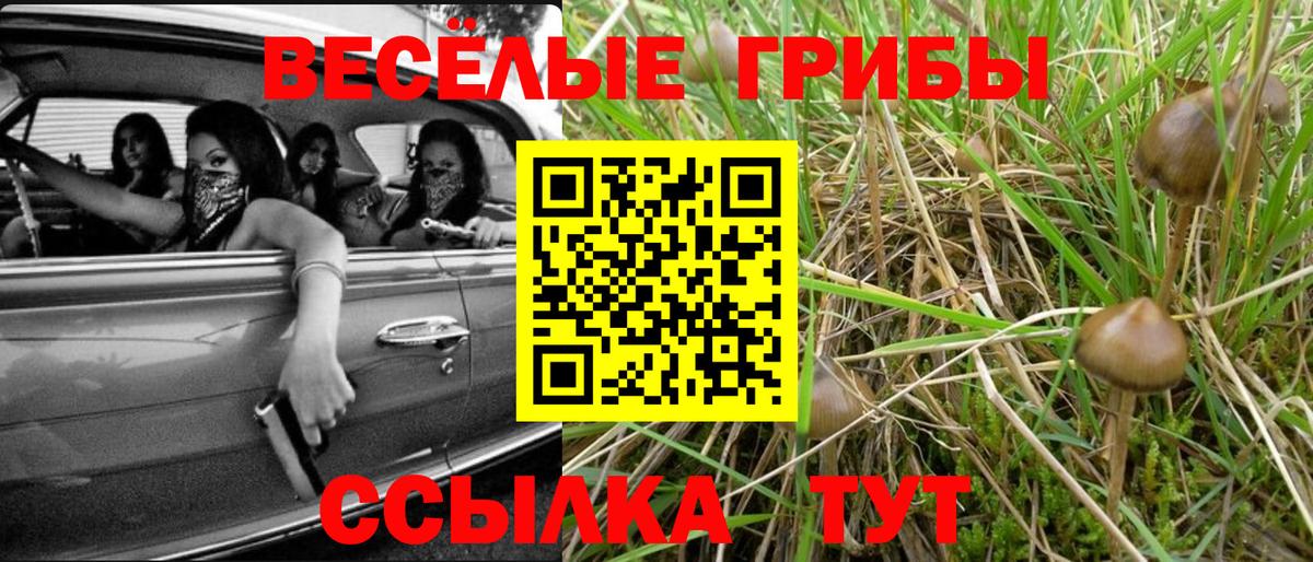 купить наркотики сайты  Галлюциногенные грибы Magic Shrooms  Вход с VPN  Лесной 